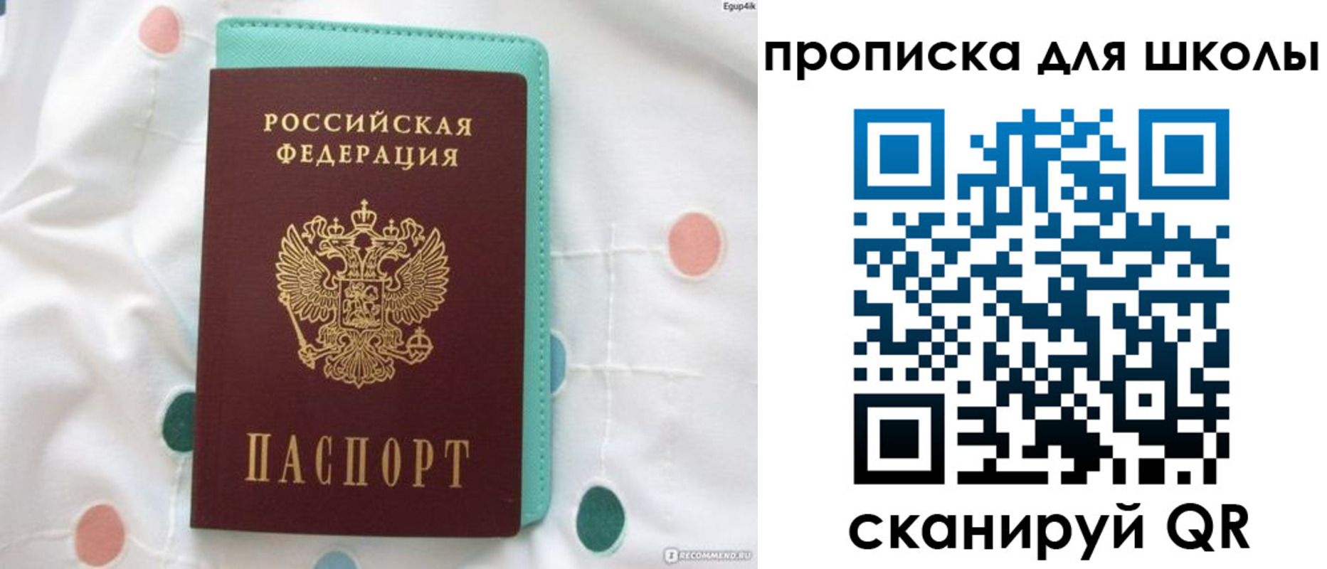 временная регистрация для всех в Курске