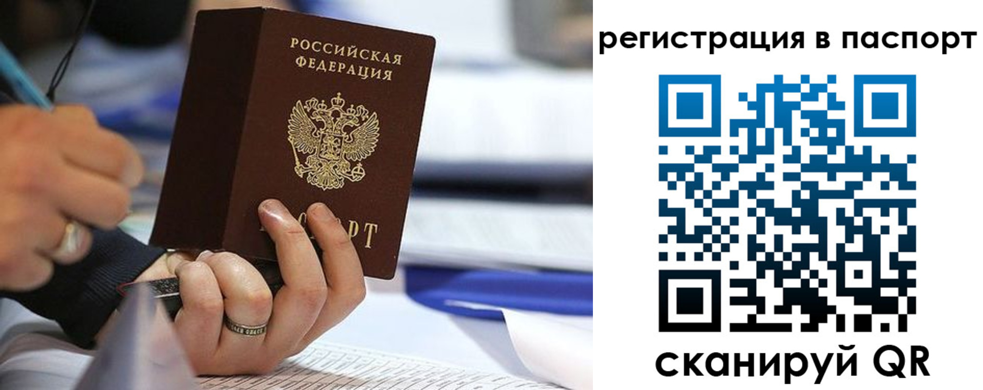 временная регистрация поиск в Курске